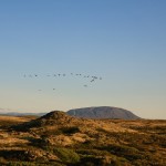 L’Islande – le nord