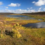 L’Islande – le sud