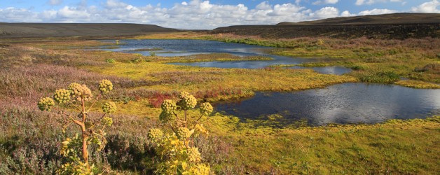 L’Islande – le sud