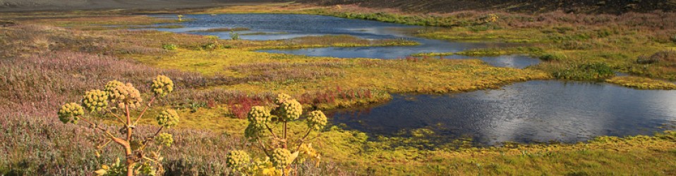 L’Islande – le sud