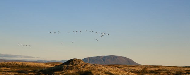 L’Islande – le nord